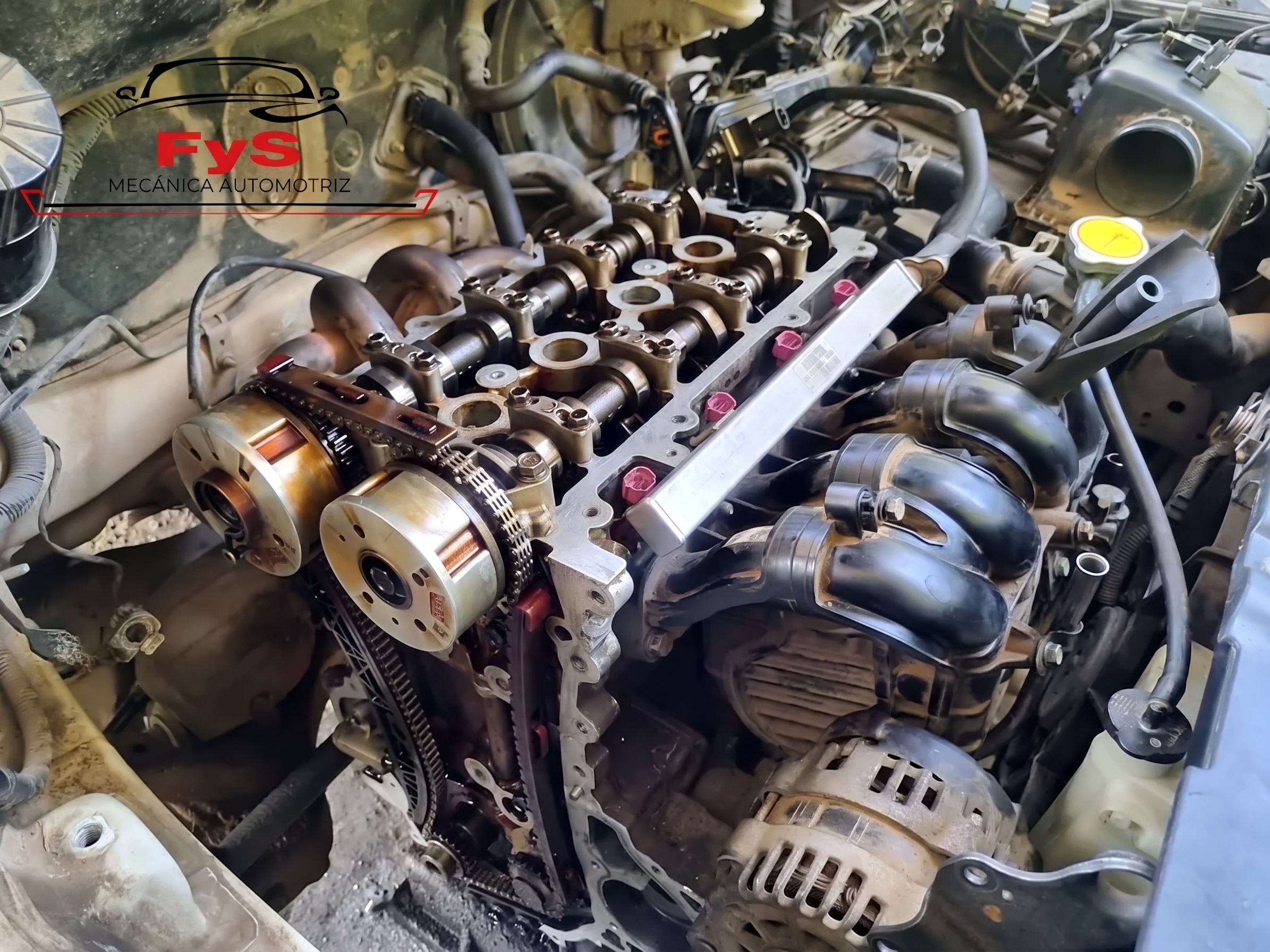 Motor abierto con la distribución y los árboles de levas a la vista